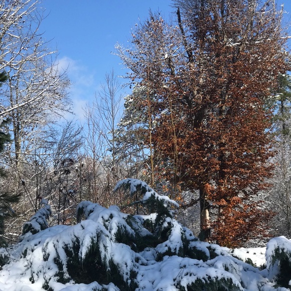 Meet your Posher, Will - Picture 1 of 1